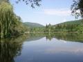The Greens collect EUR 350 000 per vulture