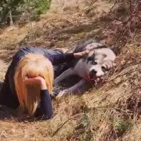 Гала се въргаля с куче