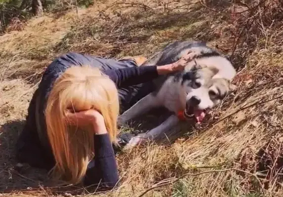 Гала се въргаля с куче