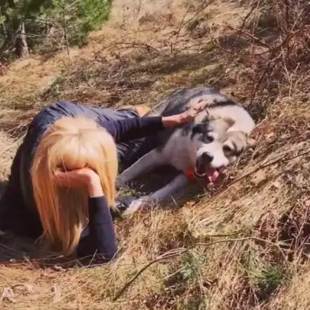 Гала се въргаля с куче