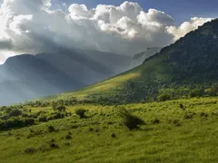 Green scams make the mountains deadly
