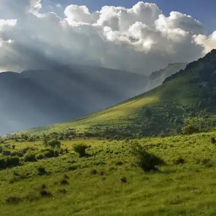 Green scams make the mountains deadly