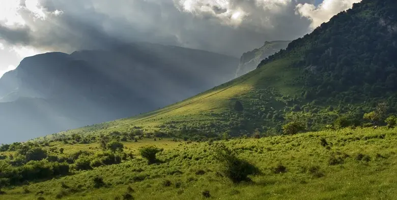 Green scams make the mountains deadly