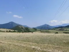 The experts from the Bulgarian Academy of Sciences and the Greens evaded the reporting under NATURA 2000