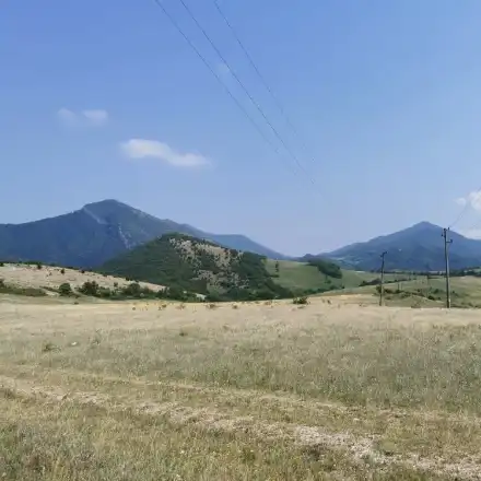 The experts from the Bulgarian Academy of Sciences and the Greens evaded the reporting under NATURA 2000