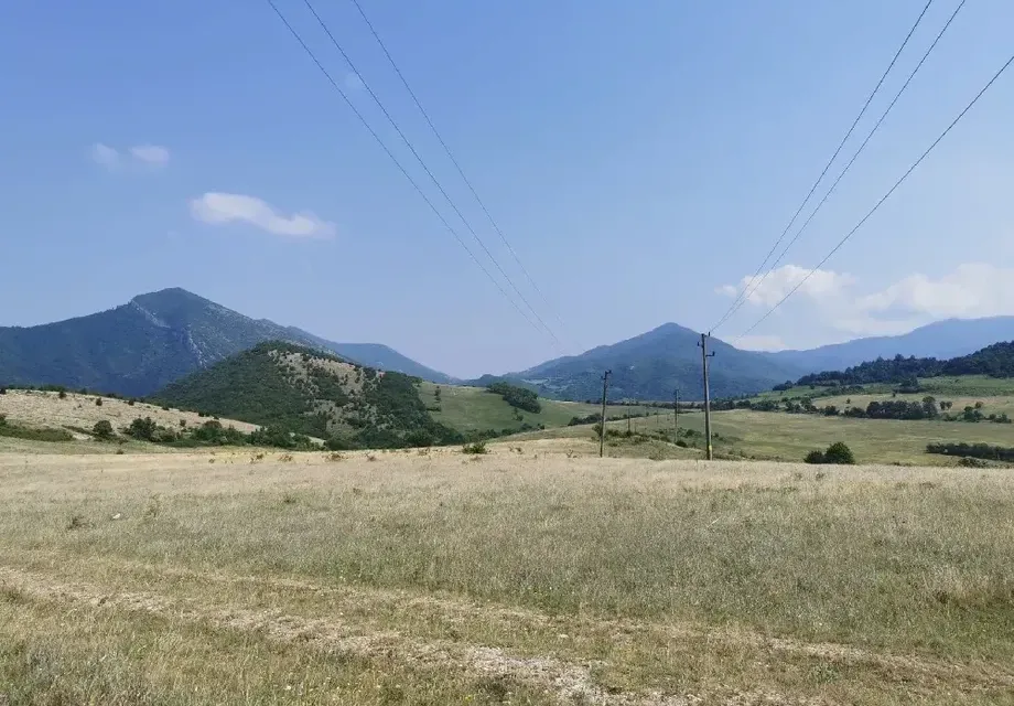 The experts from the Bulgarian Academy of Sciences and the Greens evaded the reporting under NATURA 2000