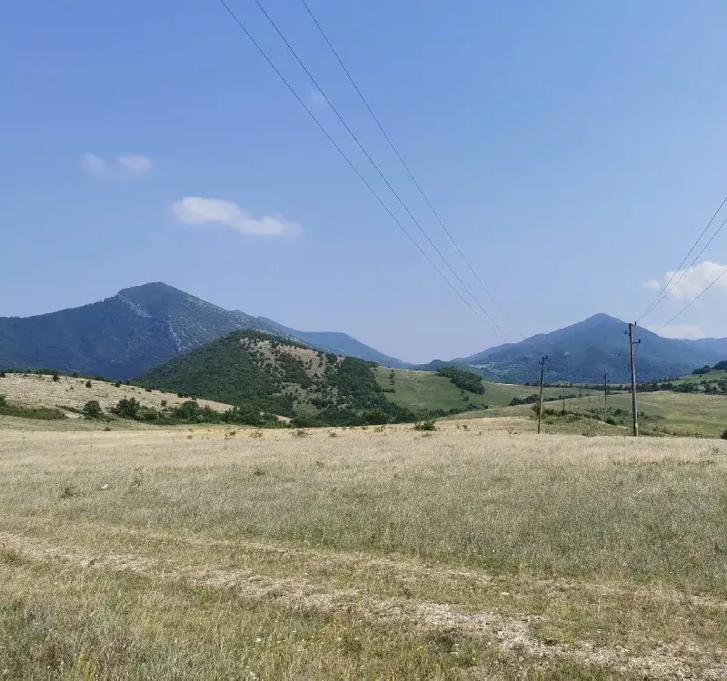 The experts from the Bulgarian Academy of Sciences and the Greens evaded the reporting under NATURA 2000