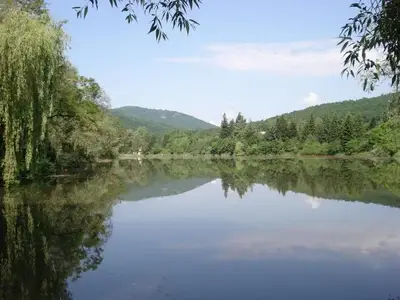 The Greens collect EUR 350 000 per vulture