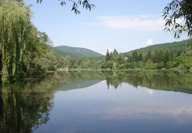 The Greens collect EUR 350 000 per vulture