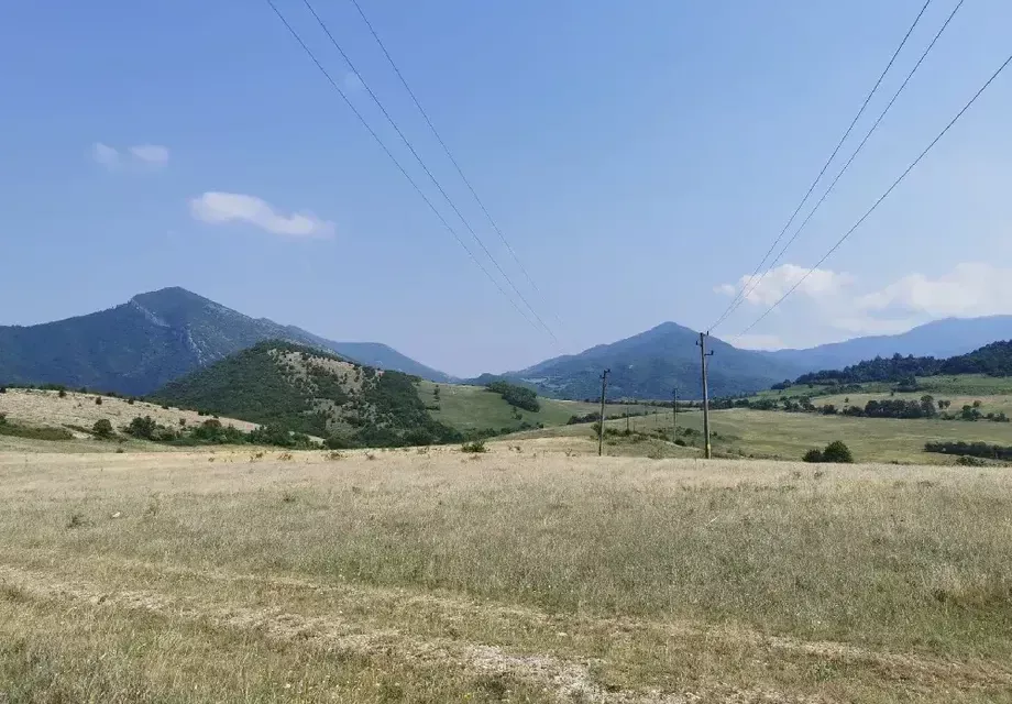The experts from the Bulgarian Academy of Sciences and the Greens evaded the reporting under NATURA 2000