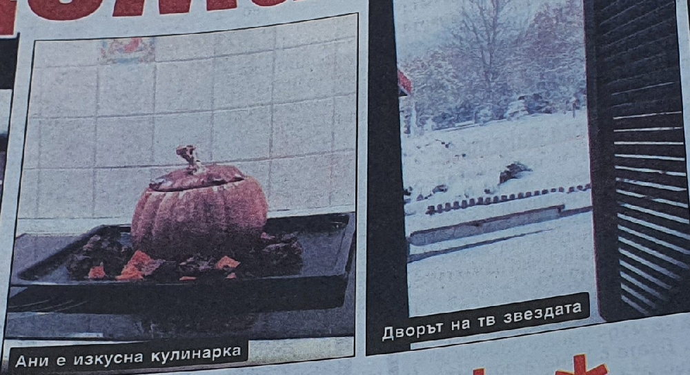 Ани Салич живее в сглобяем контейнер на село  (Снимки)