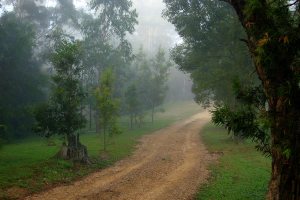 Minister of Ecology: The great dream of Toma Belev