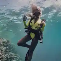 Андреа търси Немо