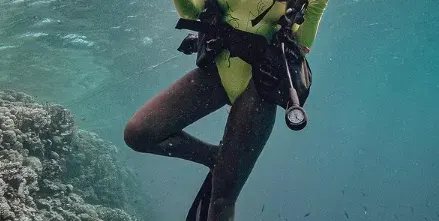 Андреа търси Немо