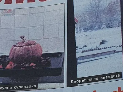 Ани Салич живее в сглобяем контейнер на село  (Снимки)