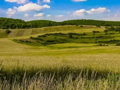 Belev, Kanev and supporters of the Istanbul Convention will distribute the millions for the NGO sector