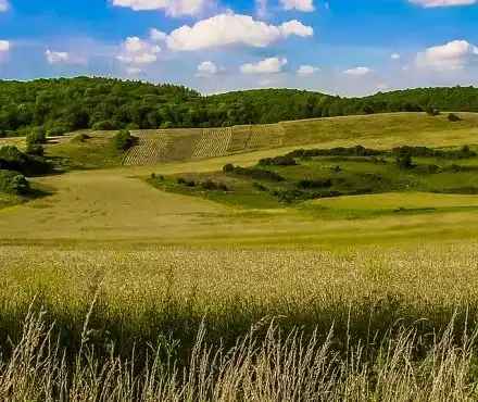 Belev, Kanev and supporters of the Istanbul Convention will distribute the millions for the NGO sector