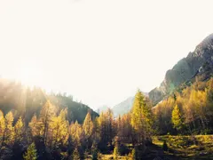 Bulgaria: The country of green terror