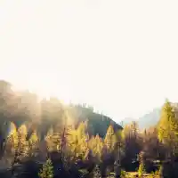 Bulgaria: The country of green terror