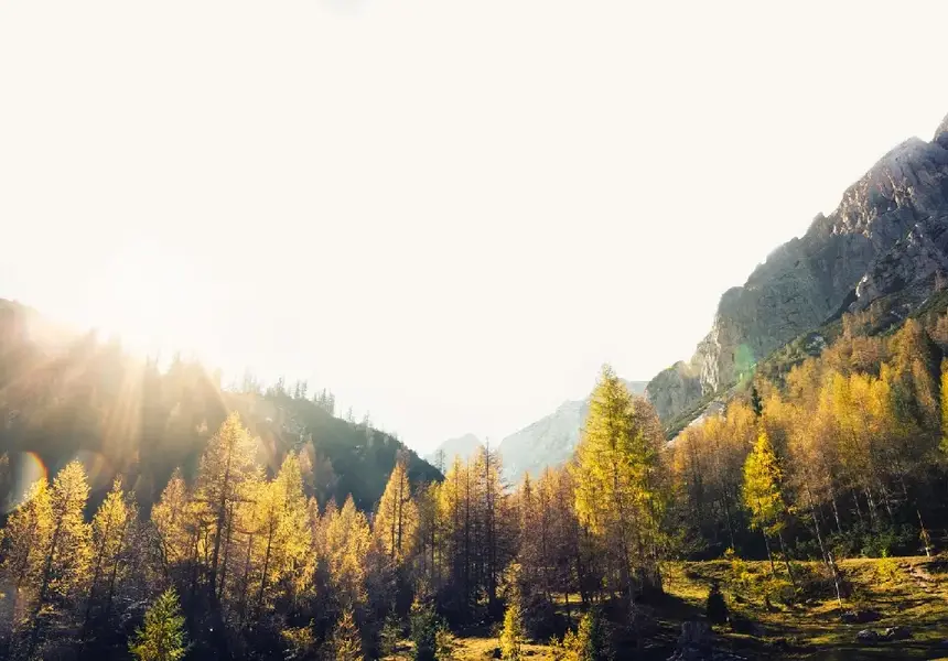 Bulgaria: The country of green terror