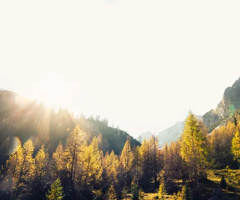 Bulgaria: The country of green terror