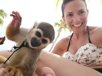 Хепи Ванче харчи наградата в Доминикана (СНИМКИ)