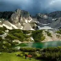 Kovachev: The awaited resolution for Bulgaria is a product of the extreme socialists and the “green”.