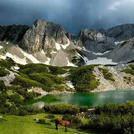 Kovachev: The awaited resolution for Bulgaria is a product of the extreme socialists and the “green”.