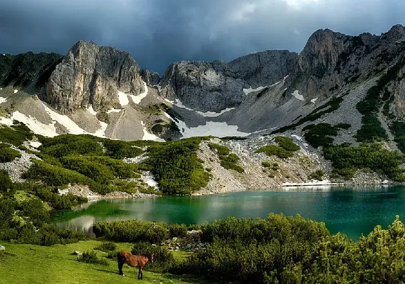 Kovachev: The awaited resolution for Bulgaria is a product of the extreme socialists and the “green”.