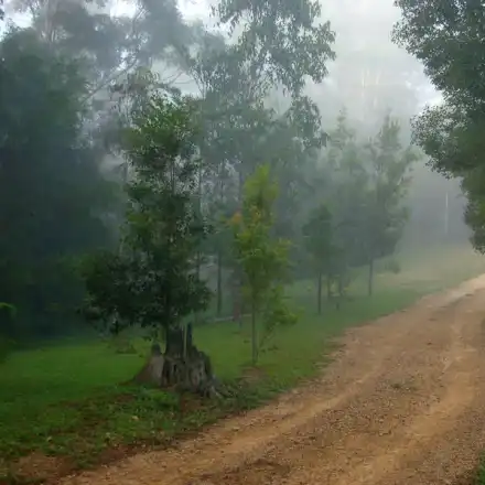 Minister of Ecology: The great dream of Toma Belev