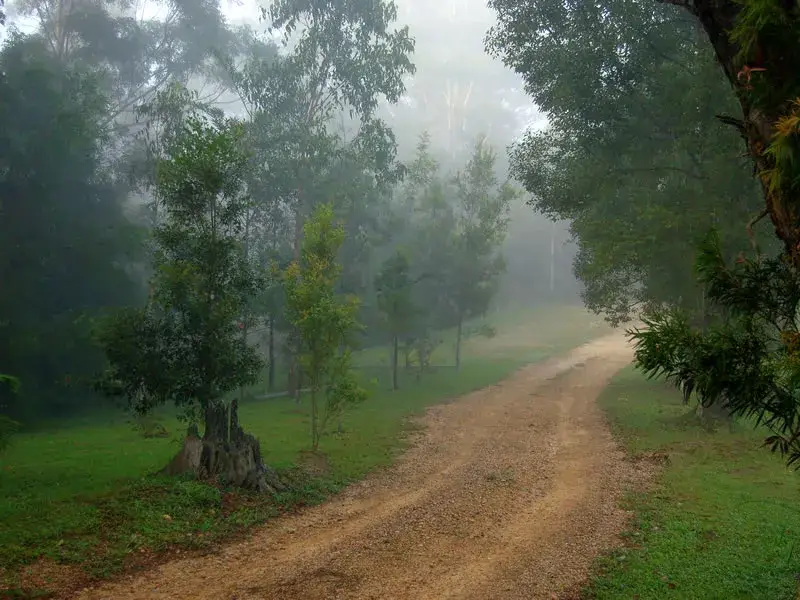 Minister of Ecology: The great dream of Toma Belev