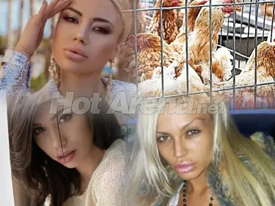 Моделки не искат яйца от кокошки в клетки: Това е средновековно мъчение за животните!