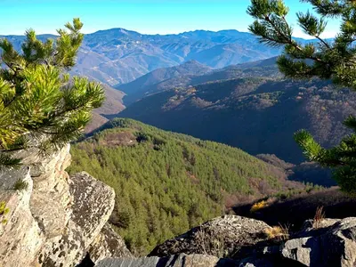 “Scandal”: The green Vladislav Panev skipped the vote on Saborna Street