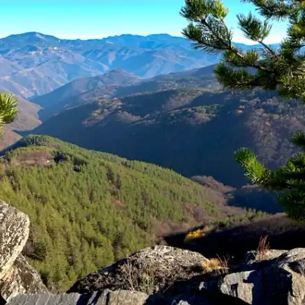 “Scandal”: The green Vladislav Panev skipped the vote on Saborna Street