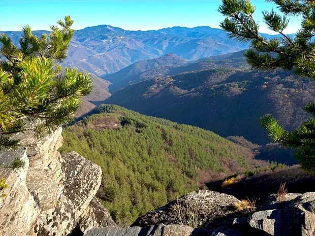 “Scandal”: The green Vladislav Panev skipped the vote on Saborna Street