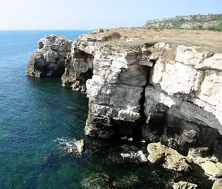The barbaric July Morning on Kamen Bryag and the green Taliban
