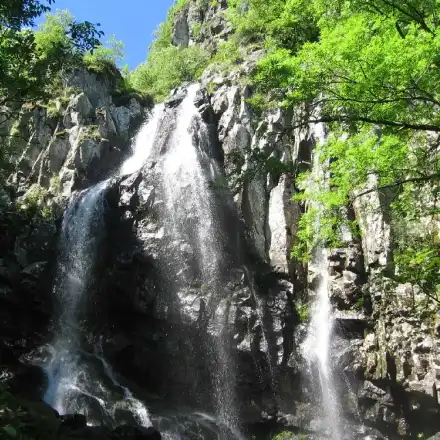 The ecologist Toma Belev is also attacking construction sites “meters away from nature parks”