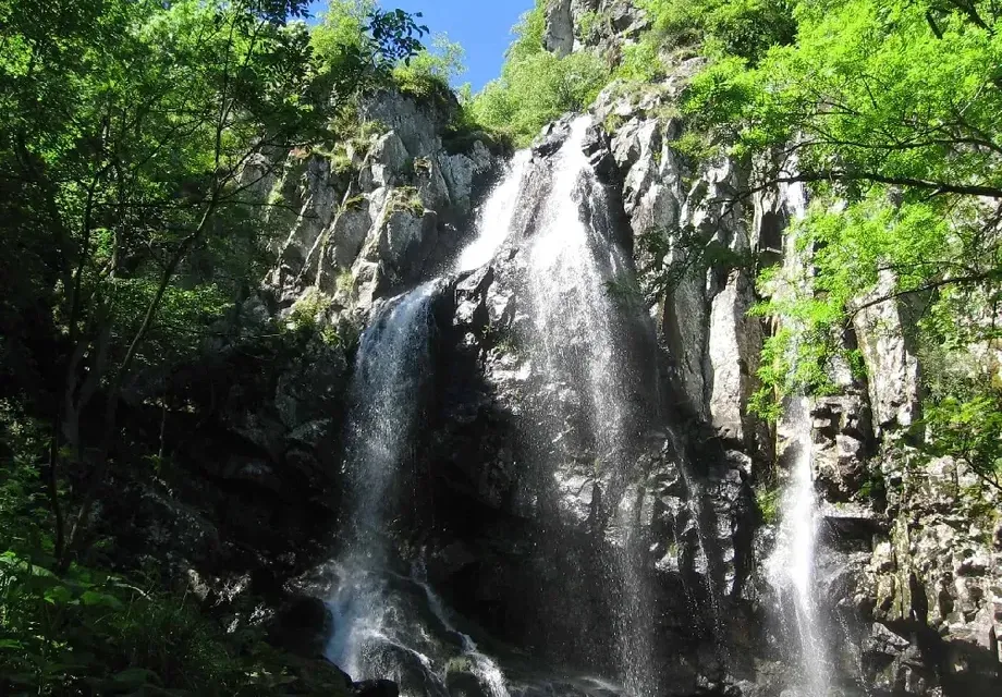 The ecologist Toma Belev is also attacking construction sites “meters away from nature parks”
