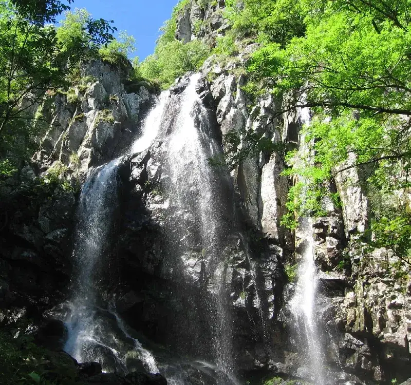 The ecologist Toma Belev is also attacking construction sites “meters away from nature parks”