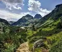 The father of the boss of The Greens Vladislav Panev was a State Security agent