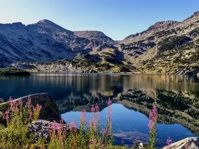 The “Greens” are like watermelons, red on the inside! They are getting millions while threatening human lives