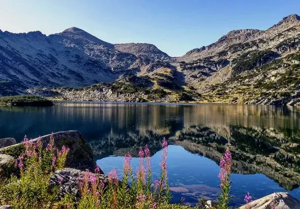 The “Greens” are like watermelons, red on the inside! They are getting millions while threatening human lives