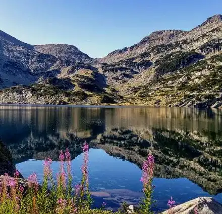 The “Greens” are like watermelons, red on the inside! They are getting millions while threatening human lives