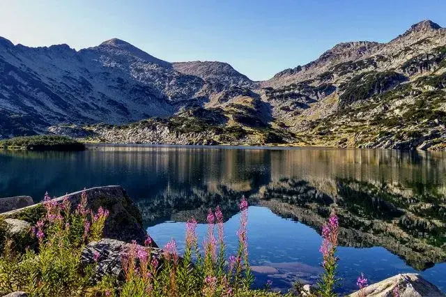 The “Greens” are like watermelons, red on the inside! They are getting millions while threatening human lives