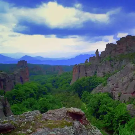 The Greens use the nature-lovers for their private financial and party interests