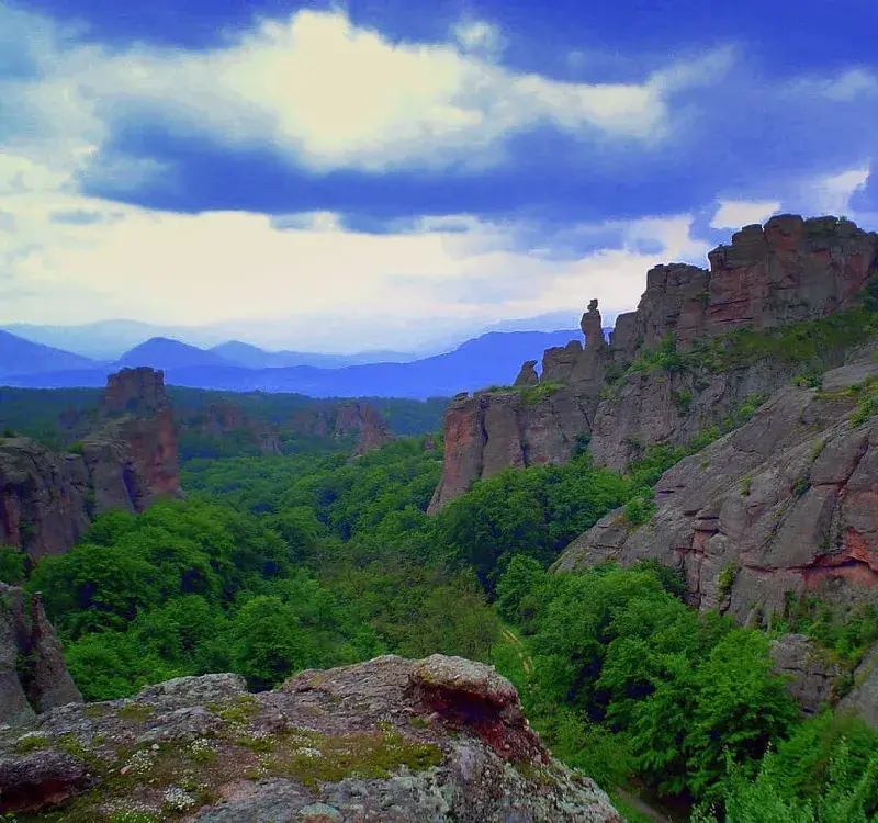 The Greens use the nature-lovers for their private financial and party interests