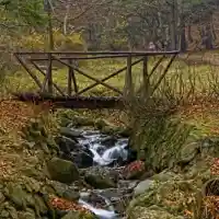 The Prosecutor’s Office is investigating the ecologist Toma Belev