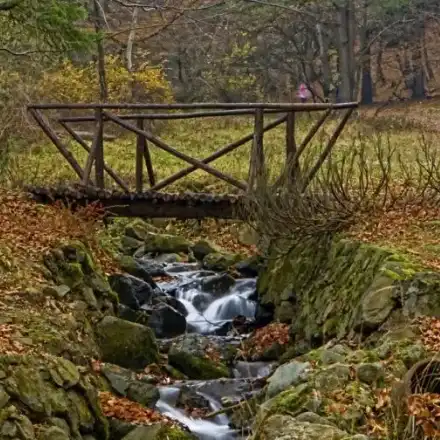 The Prosecutor’s Office is investigating the ecologist Toma Belev