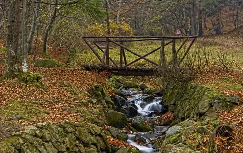 The Prosecutor’s Office is investigating the ecologist Toma Belev