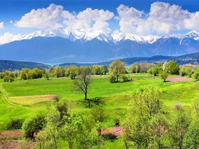 Toma Belev posts questionable photos of killed mountain goats